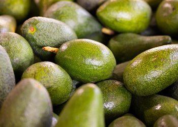 10 Foods That Heal: Unlock Nature’s Pharmacy Today!