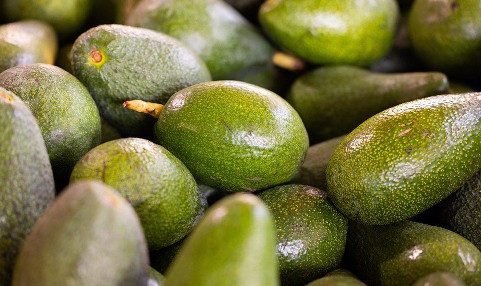 10 Foods That Heal: Unlock Nature’s Pharmacy Today!