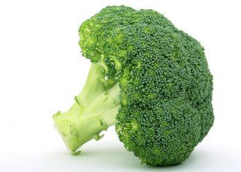 10 Foods to Supercharge Your Gut Flora Naturally