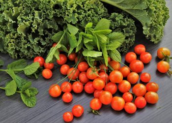 10 Guilt-Free Low-Calorie Snacks You’ll Love