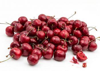 10 Guilt-Free Snacks You’ll Crave All Day