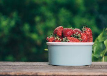 10 Guilt-Free Snacks You’ll Love to Munch On