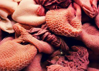 10 Gut-Friendly Foods You Must Add to Your Diet Today!