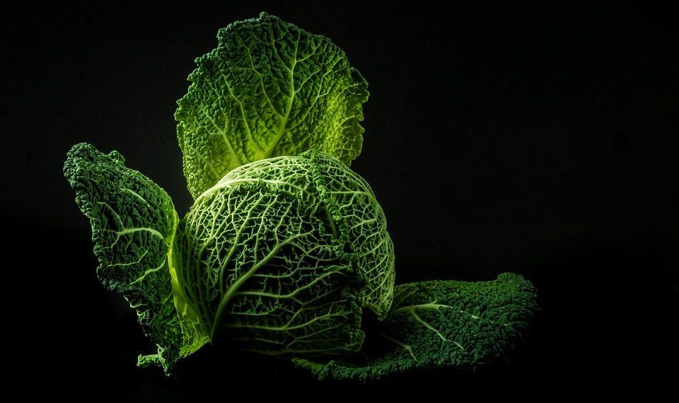 10 Gut-Friendly Foods You Need to Try Today!