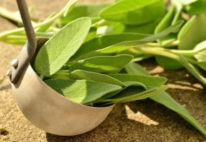 10 Healing Herbs You Need in Your Wellness Arsenal