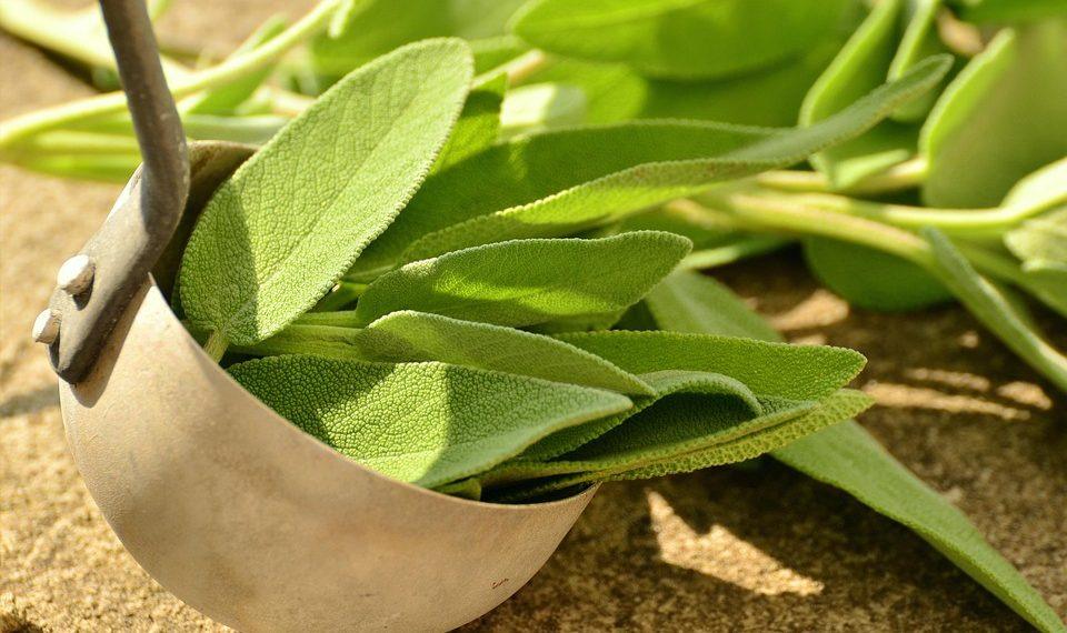 10 Healing Herbs You Need in Your Wellness Arsenal