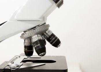 10 Holistic Health Tips for a Balanced Life