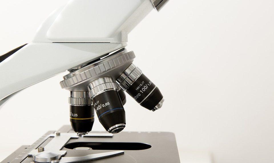 10 Holistic Health Tips for a Balanced Life