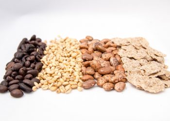 10 Incredible Moringa Health Benefits You Can't Ignore