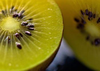 10 Iron-Packed Meals to Boost Your Energy Today!