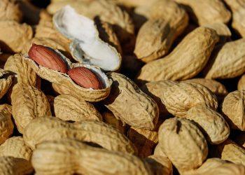 10 Irresistible Healthy Snacks You’ll Love to Munch On