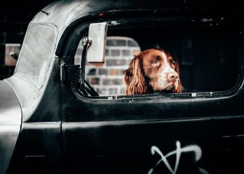 10 Lifestyle Changes for a Longer, Healthier Life