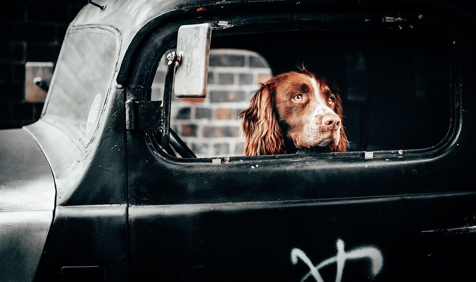 10 Lifestyle Changes for a Longer, Healthier Life