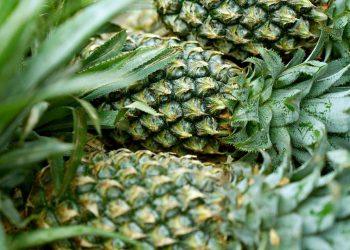 10 Low-Glycemic Foods for Steady Energy All Day