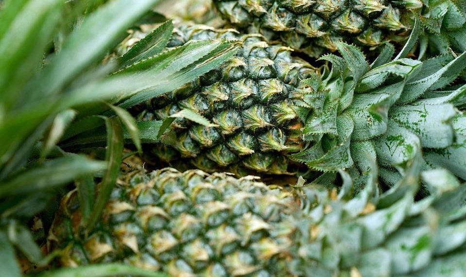 10 Low-Glycemic Foods for Steady Energy All Day