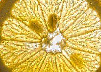 10 Meal Prepping Hacks for Stress-Free Weekdays