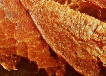 10 Meals to Supercharge Your Metabolism Today!