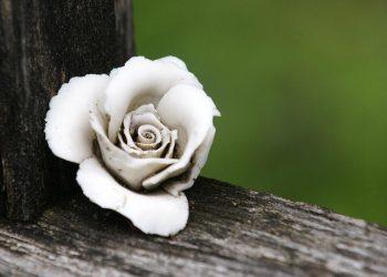 10 Must-Try Anti-Aging Supplements for Youthful Skin