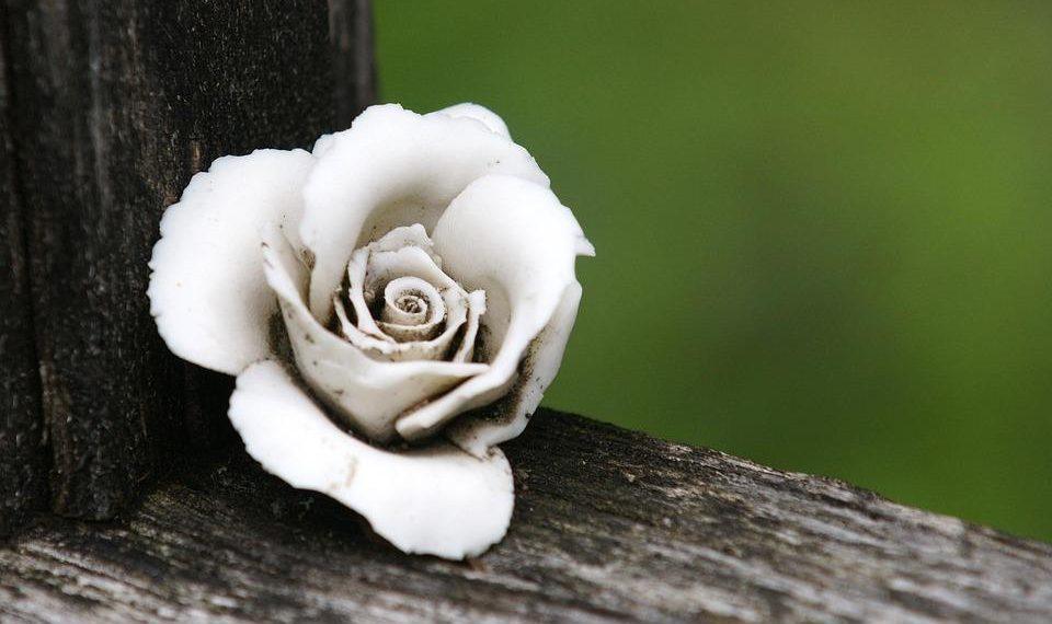 10 Must-Try Anti-Aging Supplements for Youthful Skin