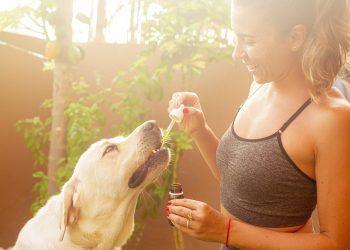 10 Must-Try Wellness Supplements for a Healthier You