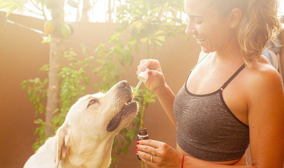 10 Must-Try Wellness Supplements for a Healthier You