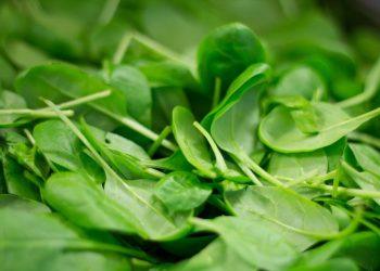 10 Natural Detox Foods to Revitalize Your Body Today