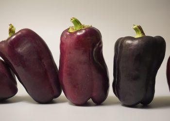 10 Natural Diets for Ultimate Health and Wellness