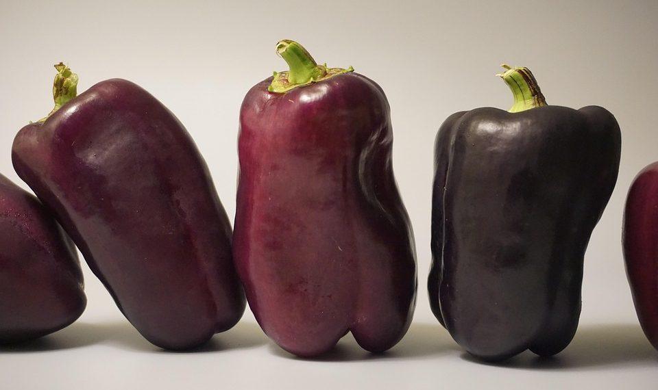 10 Natural Diets for Ultimate Health and Wellness