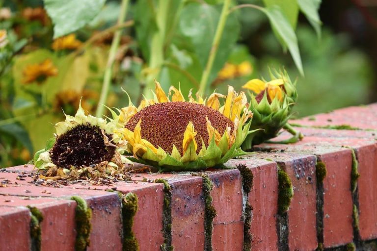 10 Natural Foods to Boost Your Muscle Recovery Fast