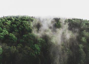 10 Natural Mood Boosters You Need to Try Today