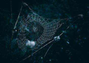 10 Natural Nighttime Remedies for Restful Sleep