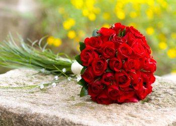 10 Natural Remedies to Beat Insomnia Tonight!