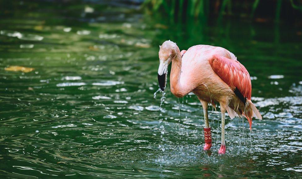 10 Natural Secrets to Slow Down the Aging Process