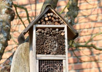 10 Natural Sleep Aids You Need for Restful Nights