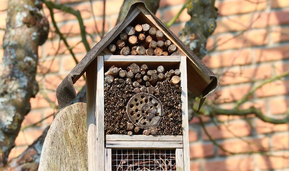 10 Natural Sleep Aids You Need for Restful Nights