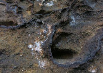 10 Natural Stress Relief Techniques You Must Try Today