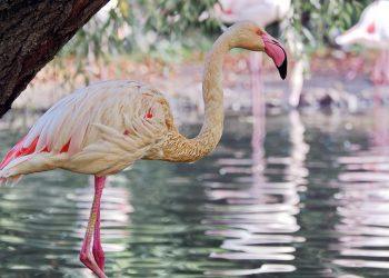 10 Natural Ways to Shed Pounds Without Dieting