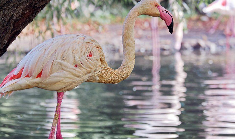 10 Natural Ways to Shed Pounds Without Dieting