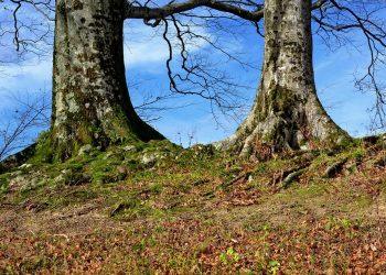 10 Natural Ways to Supercharge Your Energy Today