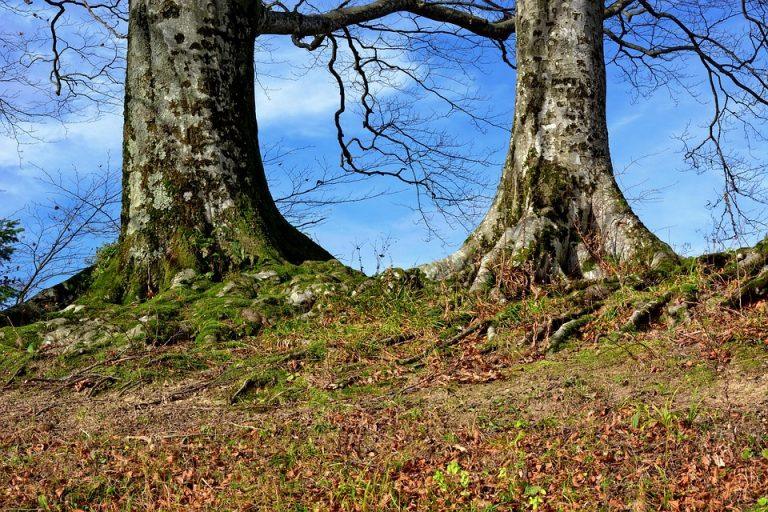 10 Natural Ways to Supercharge Your Energy Today