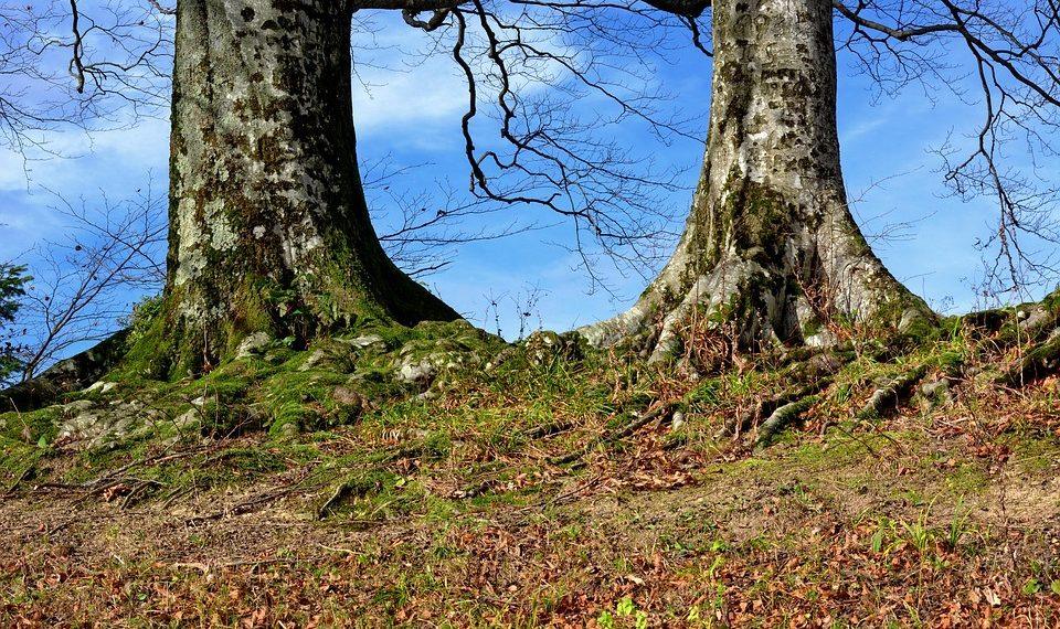 10 Natural Ways to Supercharge Your Energy Today