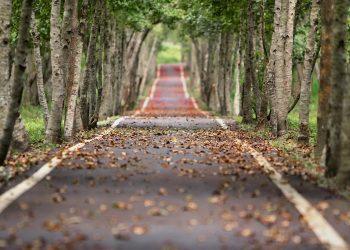 10 Natural Ways to Supercharge Your Metabolism Today