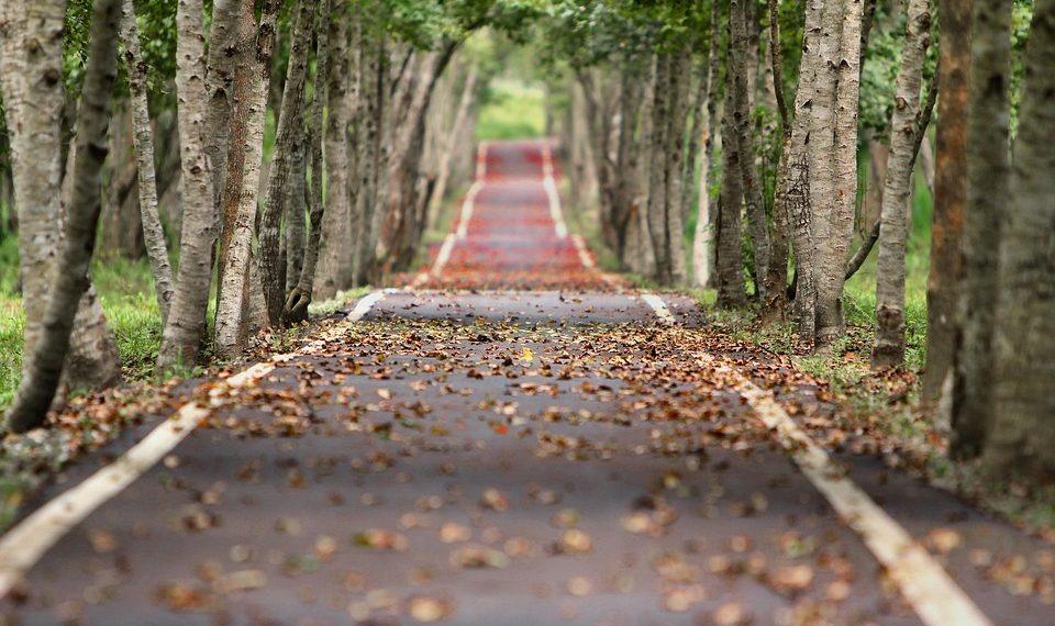 10 Natural Ways to Supercharge Your Metabolism Today