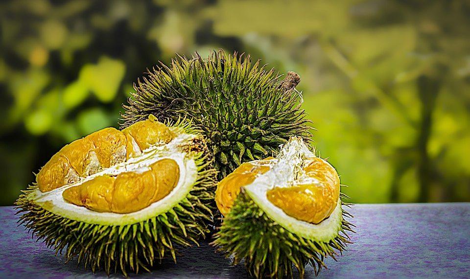 10 Nutrient-Packed Smoothies to Supercharge Your Day