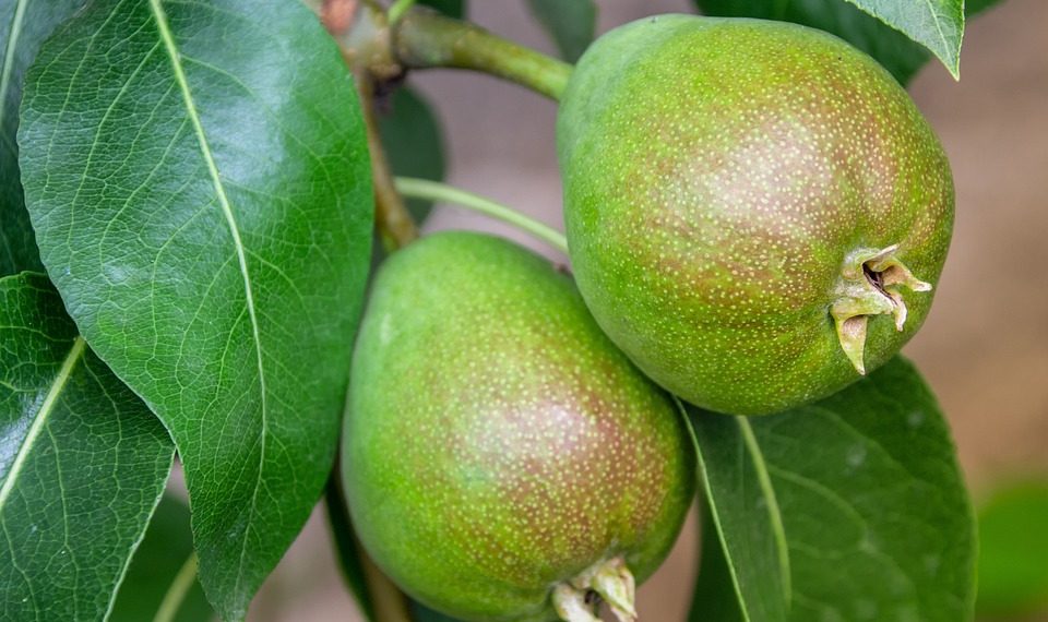 10 Plant-Based Meals That Even Meat Lovers Will Adore