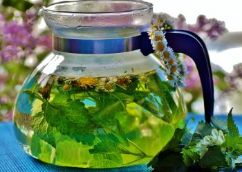 10 Powerful Herbs That Heal: Nature's Medicine Cabinet
