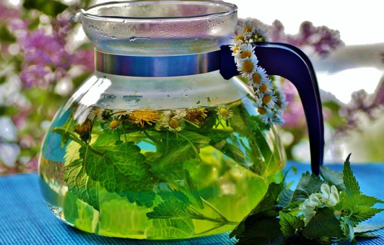10 Powerful Herbs That Heal: Nature's Medicine Cabinet