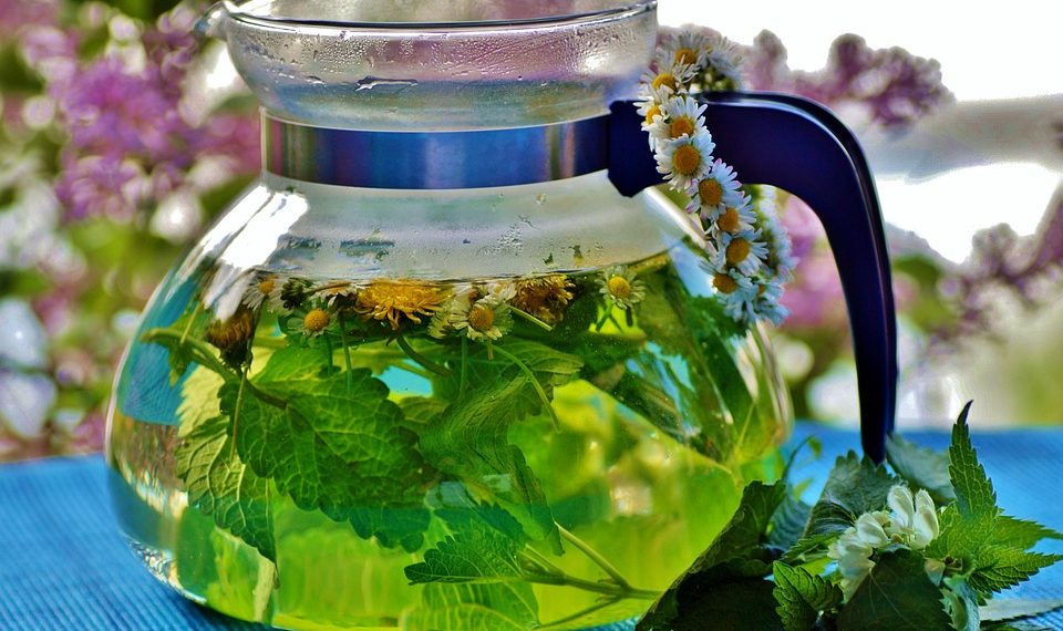 10 Powerful Herbs That Heal: Nature's Medicine Cabinet