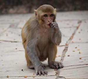 10 Proven Strategies to Tame Emotional Eating Today