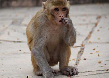 10 Proven Strategies to Tame Emotional Eating Today